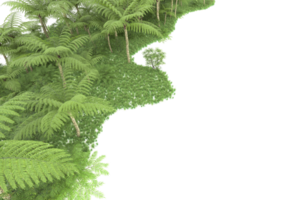 forêt réaliste isolée sur fond transparent. rendu 3d - illustration png