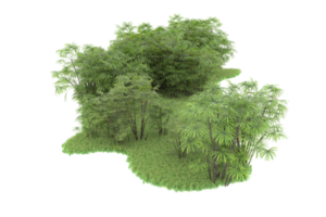 realistico foresta isolato su trasparente sfondo. 3d interpretazione - illustrazione png