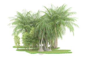 Realistic forest isolated on transparent background. 3d rendering - illustration png