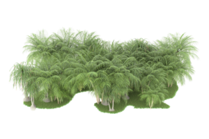 Realistic forest isolated on transparent background. 3d rendering - illustration png