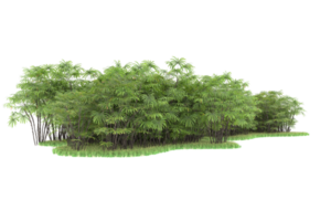 Realistic forest isolated on transparent background. 3d rendering - illustration png