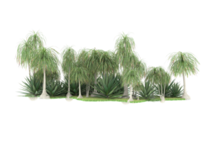 Realistic forest isolated on transparent background. 3d rendering - illustration png