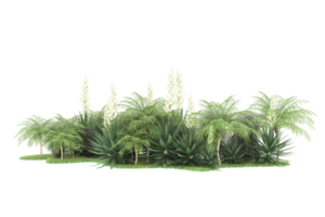 Realistic forest isolated on transparent background. 3d rendering - illustration png