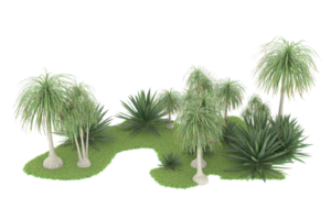 Realistic forest isolated on transparent background. 3d rendering - illustration png