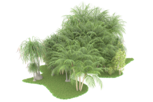 forêt réaliste isolée sur fond transparent. rendu 3d - illustration png