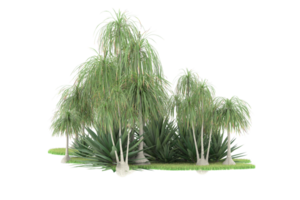 forêt réaliste isolée sur fond transparent. rendu 3d - illustration png