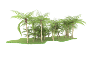 Realistic forest isolated on transparent background. 3d rendering - illustration png