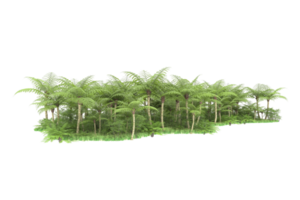 forêt réaliste isolée sur fond transparent. rendu 3d - illustration png