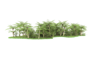 Realistic forest isolated on transparent background. 3d rendering - illustration png