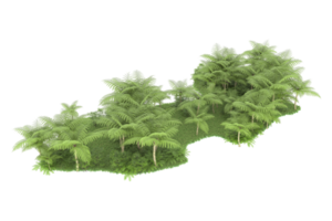 Realistic forest isolated on transparent background. 3d rendering - illustration png