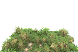 Realistic forest isolated on transparent background. 3d rendering - illustration png