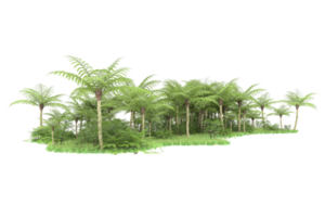 realistico foresta isolato su trasparente sfondo. 3d interpretazione - illustrazione png