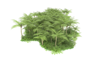 floresta realista isolada em fundo transparente. renderização 3D - ilustração png