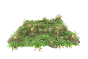 Realistic forest isolated on transparent background. 3d rendering - illustration png