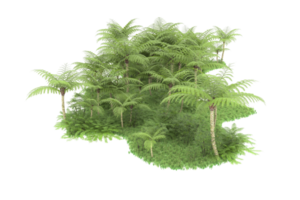 Realistic forest isolated on transparent background. 3d rendering - illustration png