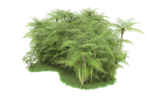 Realistic forest isolated on transparent background. 3d rendering - illustration png