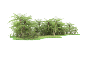 Realistic forest isolated on transparent background. 3d rendering - illustration png