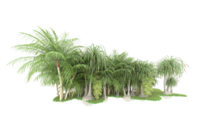 Realistic forest isolated on transparent background. 3d rendering - illustration png