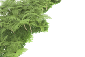 forêt réaliste isolée sur fond transparent. rendu 3d - illustration png