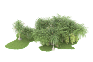 Realistic forest isolated on transparent background. 3d rendering - illustration png