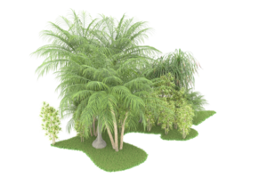 Realistic forest isolated on transparent background. 3d rendering - illustration png