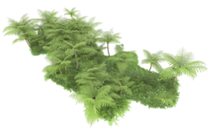 realistico foresta isolato su trasparente sfondo. 3d interpretazione - illustrazione png