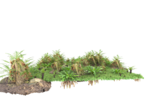 Realistic forest isolated on transparent background. 3d rendering - illustration png