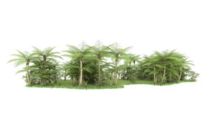 Realistic forest isolated on transparent background. 3d rendering - illustration png