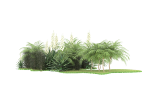 Realistic forest isolated on transparent background. 3d rendering - illustration png