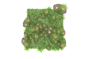 forêt réaliste isolée sur fond transparent. rendu 3d - illustration png