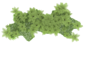 Realistic forest isolated on transparent background. 3d rendering - illustration png