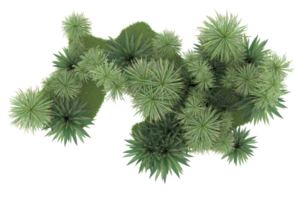 Realistic forest isolated on transparent background. 3d rendering - illustration png
