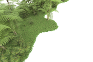 realistico foresta isolato su trasparente sfondo. 3d interpretazione - illustrazione png