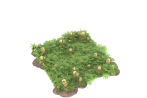 forêt réaliste isolée sur fond transparent. rendu 3d - illustration png