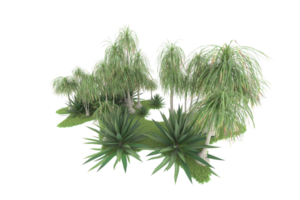 Realistic forest isolated on transparent background. 3d rendering - illustration png