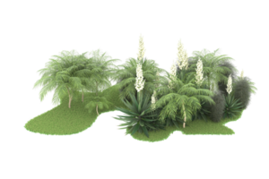 Realistic forest isolated on transparent background. 3d rendering - illustration png