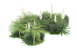 forêt réaliste isolée sur fond transparent. rendu 3d - illustration png