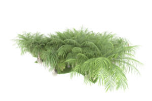 Realistic forest isolated on transparent background. 3d rendering - illustration png