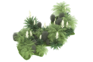 forêt réaliste isolée sur fond transparent. rendu 3d - illustration png