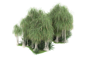 Realistic forest isolated on transparent background. 3d rendering - illustration png