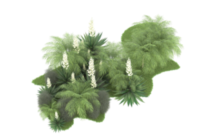 Realistic forest isolated on transparent background. 3d rendering - illustration png