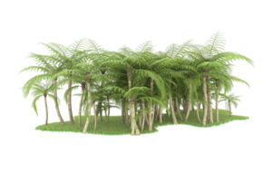 Realistic forest isolated on transparent background. 3d rendering - illustration png