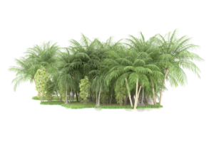 Realistic forest isolated on transparent background. 3d rendering - illustration png