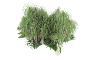 Realistic forest isolated on transparent background. 3d rendering - illustration png