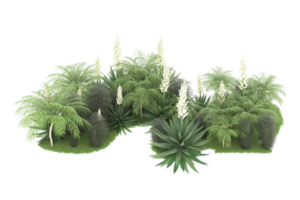 Realistic forest isolated on transparent background. 3d rendering - illustration png