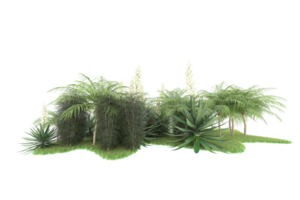Realistic forest isolated on transparent background. 3d rendering - illustration png