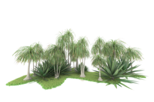 Realistic forest isolated on transparent background. 3d rendering - illustration png
