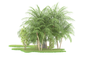 Realistic forest isolated on transparent background. 3d rendering - illustration png