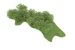 Realistic forest isolated on transparent background. 3d rendering - illustration png