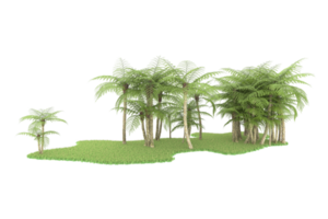 Realistic forest isolated on transparent background. 3d rendering - illustration png